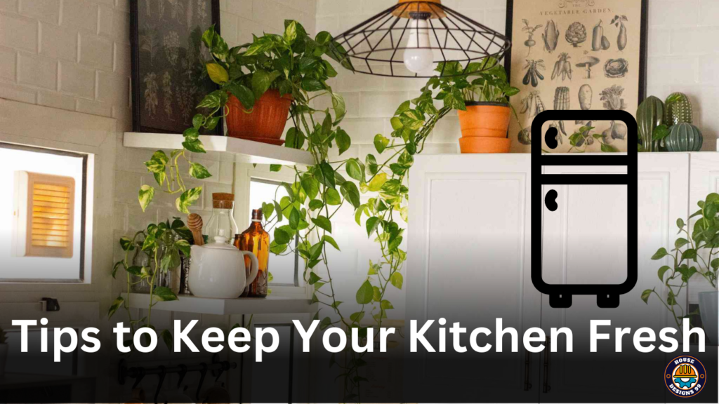 Tips to Keep Your Kitchen Fresh