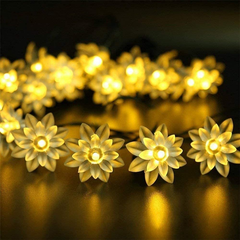 Perfect Decoration for Home, Indoor & Outdoor Decor, Garden, Party, Diwali light